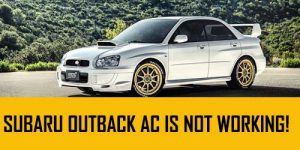outback working